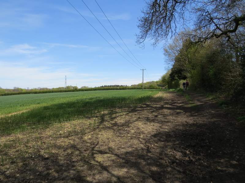 Pete's Walks Circular walk from Amersham Old Town (page 3 of 6)